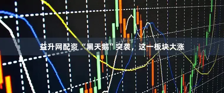 益升网配资 “黑天鹅”突袭，这一板块大涨
