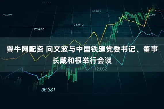 翼牛网配资 向文波与中国铁建党委书记、董事长戴和根举行会谈