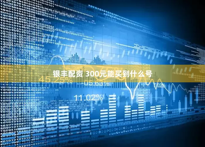 银丰配资 300元能买到什么号